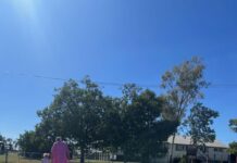 From the mayor’s desk: Advocating for simpler planning rules