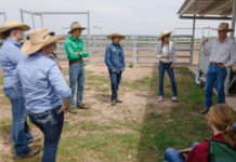 Teens learn animal handling skills