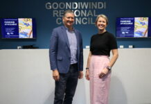 Council Tackles Cross-Border Service Gaps