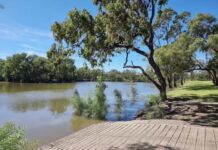 Support Goondiwindi Botanical Gardens