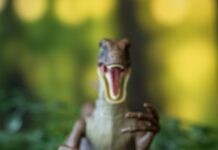 Scary dino photograph a winner