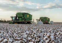 Applications open for Future Cotton Leaders Program 2026