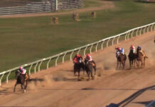 Jingling all the way at Basset Park