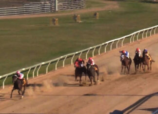 Jingling all the way at Basset Park