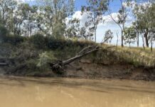 Major project to secure Goondiwindi’s levee