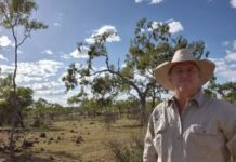 Why food security demands attention now