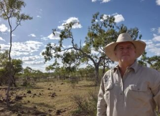 Why food security demands attention now