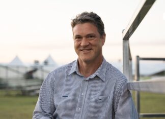 Conditions favourable for Australia’s livestock sector: Rabobank 2026 outlook