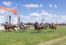 Racing returns to Gunsynd Park in 2026