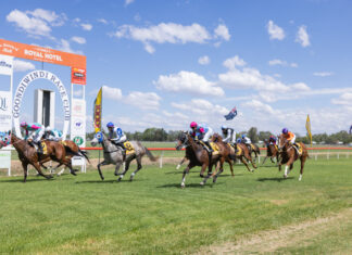 Racing returns to Gunsynd Park in 2026
