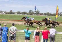 Young Guns light up Gunsynd Park