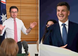 ‘Business as usual’: Littleproud backs Coalition reset