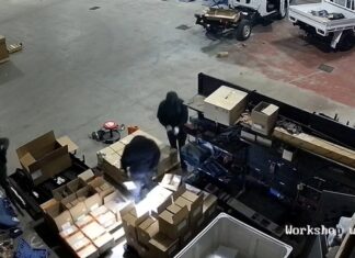 Property and motor vehicle offences appeal