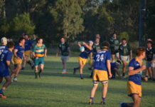 New recruits shine in pre-season loss