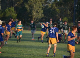 New recruits shine in pre-season loss