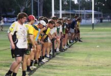 Emus gearing up for 2026