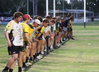 Emus gearing up for 2026