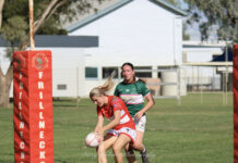 Echidnas edge Frillies in pre season hit up