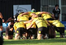 Emus ramp up preparations