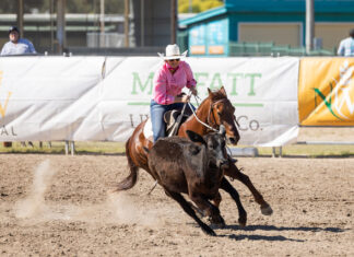 Riders, broncs, and bulls shine