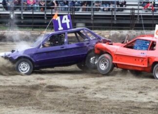 Who will be the last car standing?