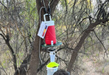 Time to prepare for mosquitos