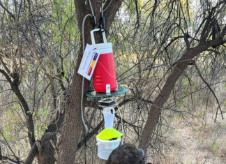 Time to prepare for mosquitos